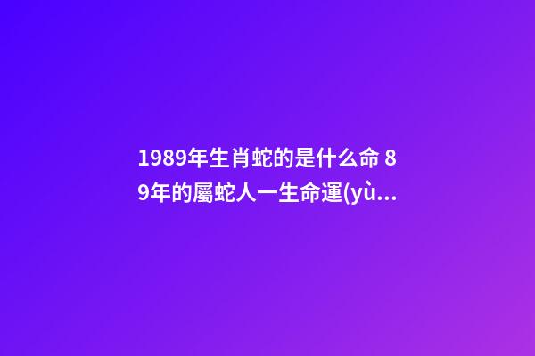 1989年生肖蛇的是什么命 89年的屬蛇人一生命運(yùn)分析 1989年出生屬蛇人的命運(yùn)如何
